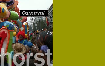 Carnavalsverzekeringen: een feest zonder risico’s